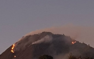 Lereng Gunung Panderman Kota Batu Terbakar, Ratusan Pendaki Sukses Dievakuasi