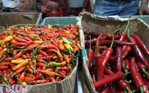 Fantastis, Harga Cabai Rawit Tembus Rp 100 Ribu Per Kilogram