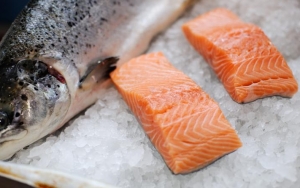 Salmon Yang Memiliki Kandungan Omega 3 Tinggi Bisa Cegah Anak Cepat Sakit