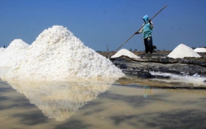 Petani Harap Gubernur Jatim Khofifah Mampu Yakinkan Jokowi Setop Impor Garam