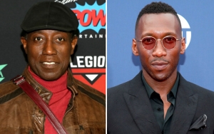 Aktor Wesley Snipes Ternyata Belum Rela Berikan Peran Blade pada Mahershala Ali