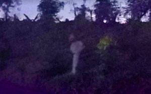 Heboh Penampakan 'Pocong' Ngintip di Google Street View, Ini Pengakuan sang Pengambil Gambar