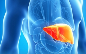 Banyak Konsumsi Protein Hewani Juga Bisa Mengurangi Proses Ketosis
