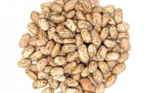 Kacang Kering Bisa Dikonsumsi dengan Aman Meski Usianya Sangat Lama