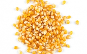 Jagung Popcorn Rupanya Juga Tidak Bisa Kedaluwarsa Loh