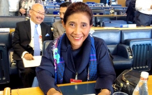 Kediaman Menteri Susi Pudjiastuti Dilempari Batu Hingga Sebabkan Pos Satpam Rusak