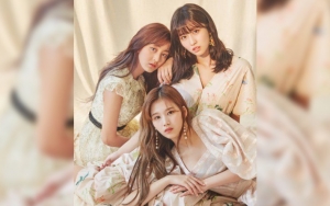 MGMA 2019: Netter Soroti Sikap Sana, Momo dan Jihyo Twice pada Kameraman