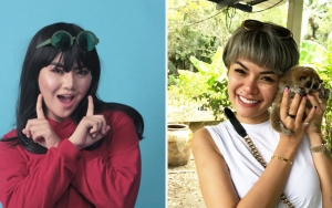 Meldi Tantang Sholat, Nikita Mirzani Ngegembel Bawa Tas 1 Miliar 'Tampar' Keponakan Dewi Persik?