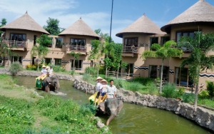 Coba Sensasi Menginap Bareng Hewan Di Mara River Safari Lodge Gianyar, Bali