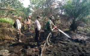 Heboh Harimau 'Sambangi' Kawasan Industri, Diduga Akibat Karhutla Riau
