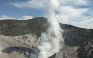 Masih Erupsi, Taman Wisata Alam Tangkuban Parahu Ditutup Sementara