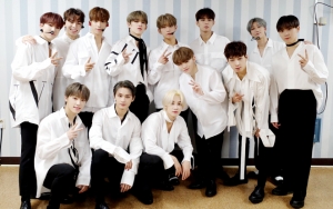 Seventeen Jawab Pertanyaan Soal Musik Hingga Fashion di BTS 'Ask Us Anything'