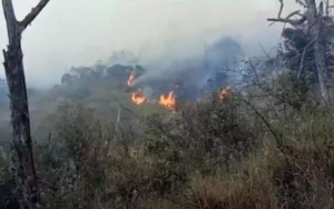 Penyebab Masih Belum Diketahui, Kebakaran Gunung Ciremai Makin Meluas