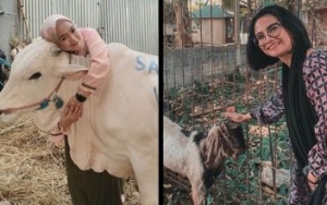 Cium Hingga Peluk, Intip 10 Potret Selebriti Bareng Hewan Kurban di Hari Raya Idul Adha