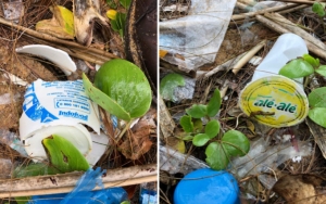 Sampah Produk Indonesia 'Nyasar' Sampai Thailand, Foto Penyu Mati Terlilit Bikin Netter Miris