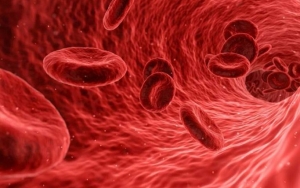 Dengan Donor Darah Produksi Sel Darah Merah Kita Justru Bakal Makin Meningkat Loh