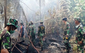 572 Hektare Hangus, Satgas Karhutla Sumatera Selatan Ancam Bakal Tembak Pembakar Lahan