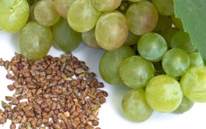 Biji Anggur Rupanya Bisa Memicu Kematian Sel-Sel Kanker Loh