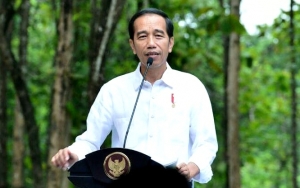 Soal Menteri Muda Jokowi, Pakar Nilai Jangan Cuma Berharap Ide Segar