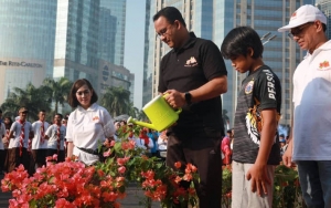 Dulu Lidah Mertua, Kini Anies Baswedan Unggulkan Bugenvil Untuk Atasi Polusi