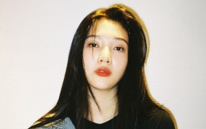 Joy Red Velvet Pose Provokatif Pakai Celana Robek Umbar Paha