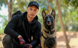 Majikan Terancam 5 Tahun Penjara Usai Minta Yayan Buka Kandang Hingga Digigit Anjing Bima Aryo