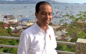 Jokowi Dikabarkan Hanya Undang Tokoh Papua Eks Timses, Ini Kata Istana
