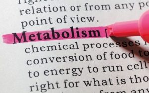 Tidak Sarapan Bakalan Membuat Metabolisme Kalian Menurun