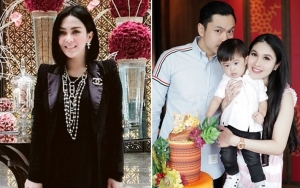 Jet Pribadi Diduga Sewaan, Syahrini 'Ditertawakan' Putra Sandra Dewi