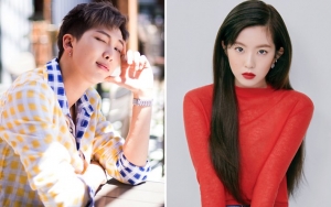 RM BTS dan Irene Red Velvet Disebut Bakal Jadi Idol Tersukses