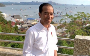 Jokowi Curigai Pembakaran Terorganisasi di Balik Karhutla