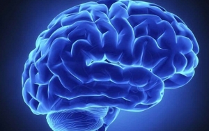 Jaga Kesehatan Otak dengan Mengkonsumsi Pisang Setiap Hari