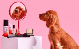 Pastikan Merek Make Up Tersebut Cruelity Free dan No Animal Testing