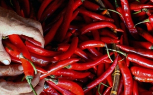 Sebelum Membuat Sambal, Pilih Bahan-Bahan yang Segar dan Berkualitas