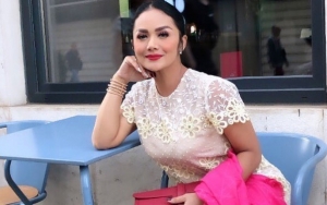 Doyan Borong Mebel 150 Juta, Krisdayanti 'Ibu DPR' Siap Pakai Kursi Murah Abang Bakso