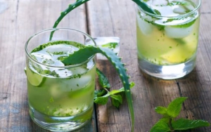 Lidah Buaya Jeruk Nipis, Perbaduan Sempurna Asam Dan Manis