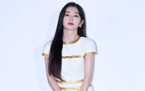 Irene Red Velvet Secantik Boneka di Event Terbaru, Anting-Anting Jadi Sorotan