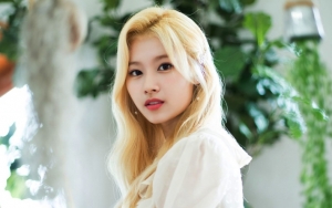 Kecantikan Sana Twice dengan Warna Rambut Berbeda Diadu, Mana Paling Cocok?