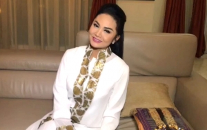 Jadi Anggota DPR, Krisdayanti Sebut Income Utama Ada Di Panggung Hiburan