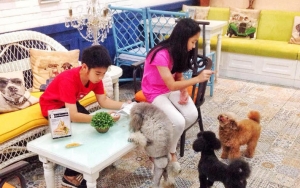 Cobain Makan Bareng Hewan Kesayangan Di Vodka & Latte
