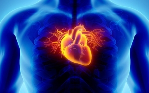 Suka Marah-Marah Bisa Meningkatkan Risiko Penyakit Jantung
