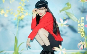 Sulli Pesan Bahan Makanan Segar Sehari Sebelum Bunuh Diri Picu Kecurigaan