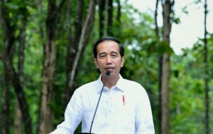 Awali Karier Politik Sebagai Walikota, Joko Widodo Dipercaya Jadi Presiden Selama Dua Periode