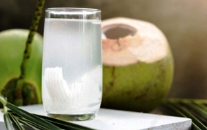 Lesu dan Lemas Saat Cuaca Panas? Minum Air Kelapa Saja untuk Kembalikan Tenagamu