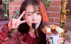 Gugat Fans Yang Tertangkap Siarkan Langsung Konser IU, Begini Pernyataan Kakao M