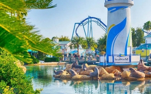 Nikmati Pemandangan Bawah Laut Di Sea World Jakarta