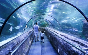 Mampir Ke Jakarta Aquarium Yang Cocok Banget Buat Kalian Pencinta Biota Laut