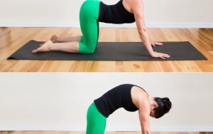 Yoga Cat Cow Yang Selalu Jadi Rekomendasi Gerakan Anti Sakit Punggung