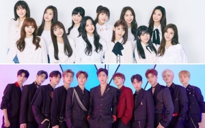 Bikin Petisi untuk Boikot Semua Kegiatan IZ*ONE dan X1, Netizen: Bubarkan Saja!