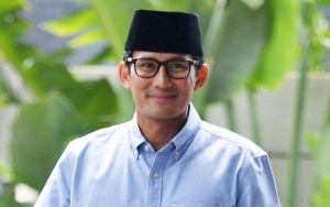 Ahok Bakal Jadi Bos BUMN, Ini Kata Sandiaga Uno